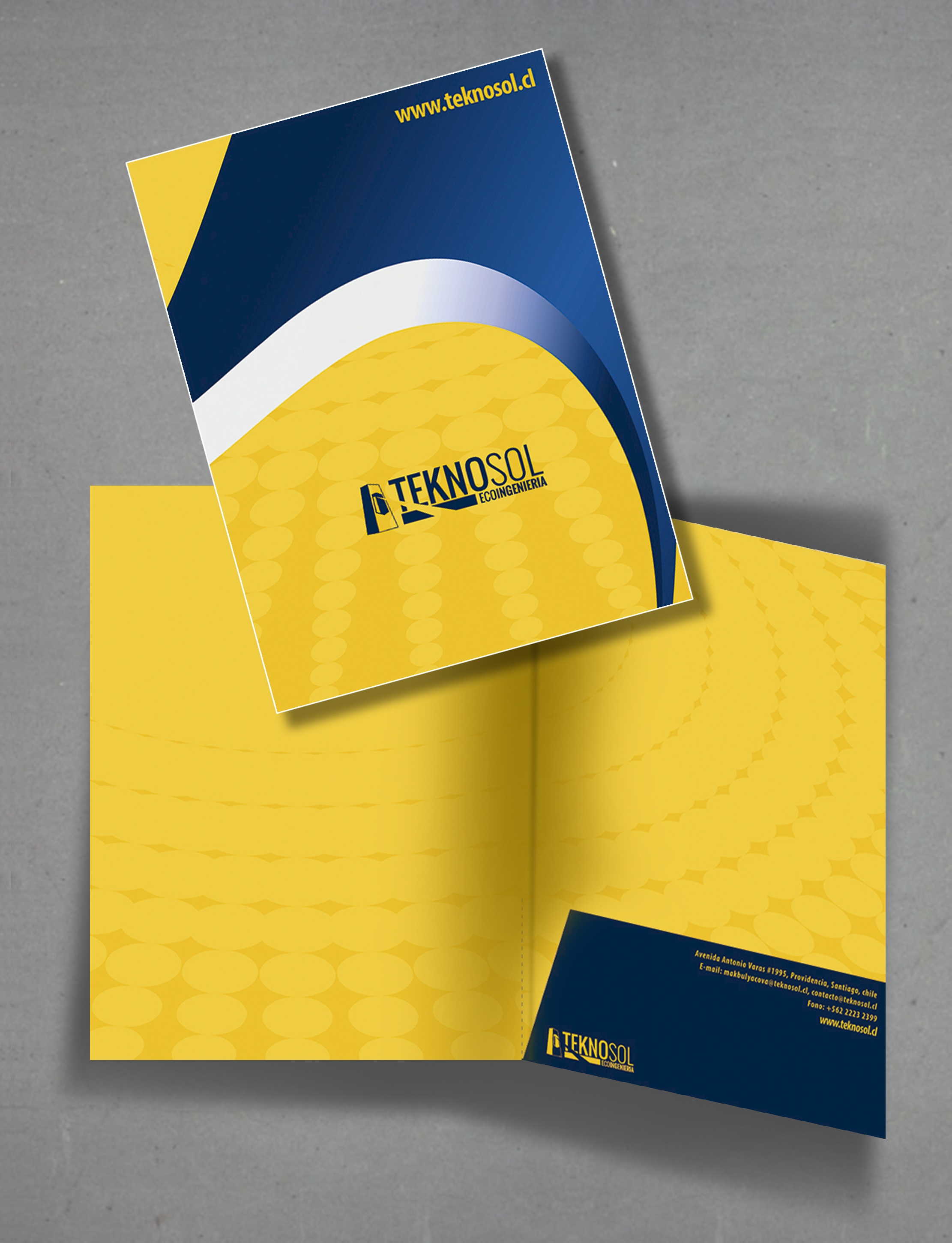 leolopez.cl book 2022